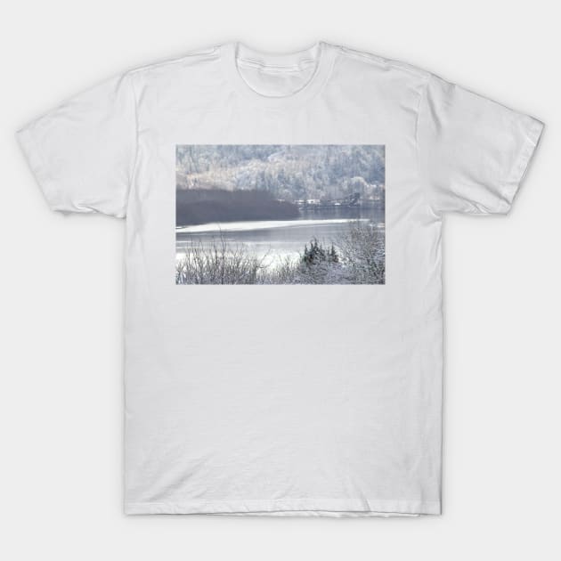 Columbia river and snow 2 T-Shirt by DlmtleArt